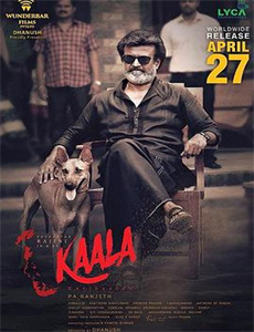 娇宠王爷他偏要护短