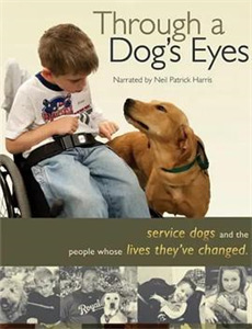 私宠甜心宝贝第2季